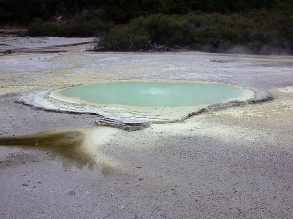 Oyster Pool